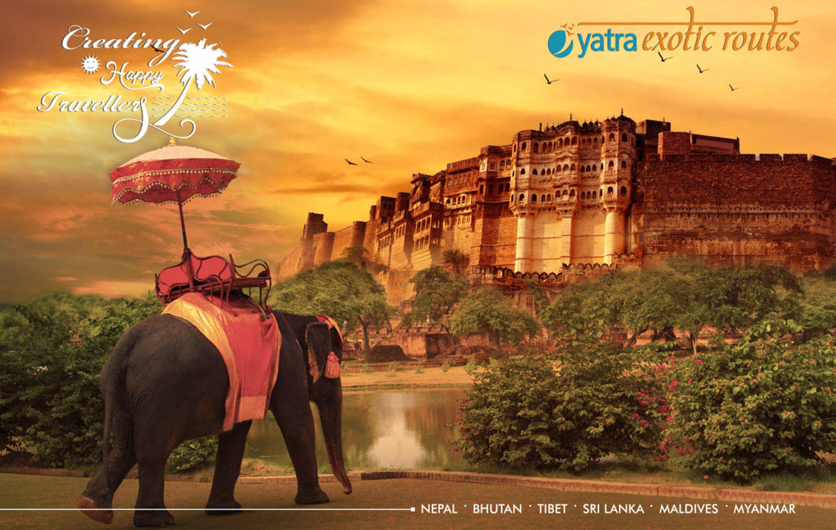 Nobel Hygiene | Case Study